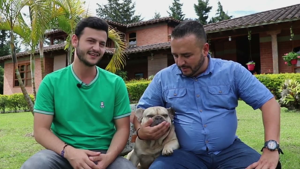 El Bulldog Francés Exótico una raza única y especial