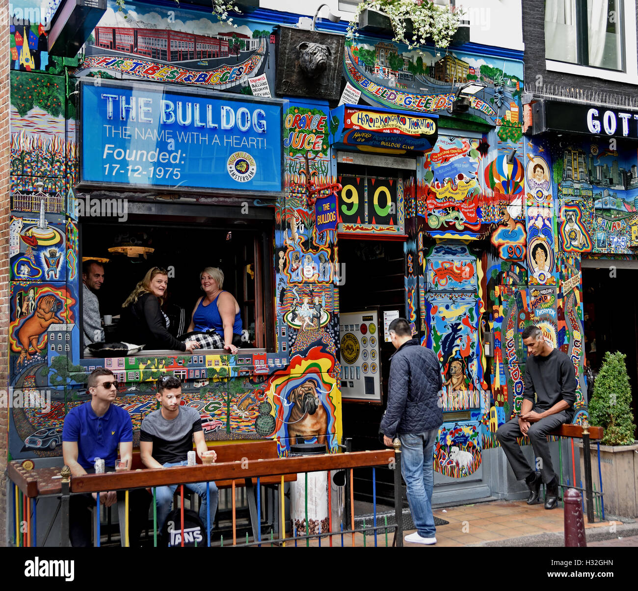 Bulldogs de Ámsterdam Historia y Legado