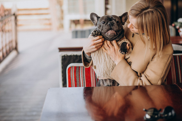 El temperamento único del Bulldog Francés